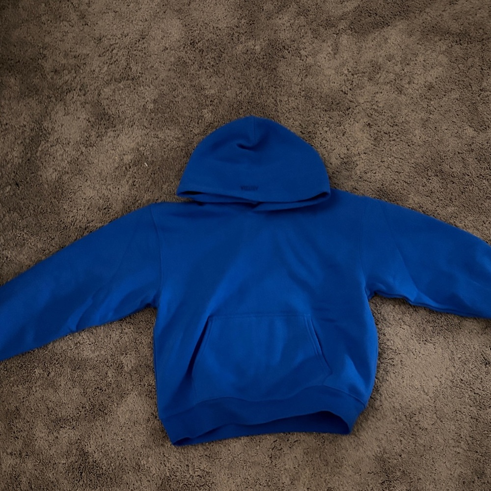 Aritzia Vibrant Blue Hoodie